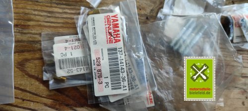 IMG_20230828_114143